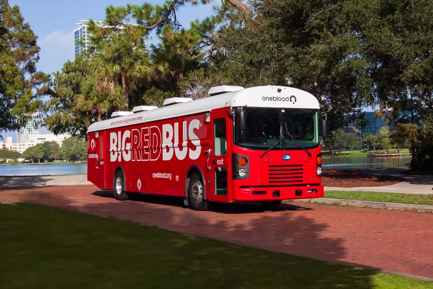 Big Red Bus February 2024