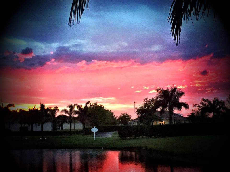 A vibrant sunset over a suburban area with silhouetted palm trees and houses, reflecting hues of pink and purple in a nearby water body.