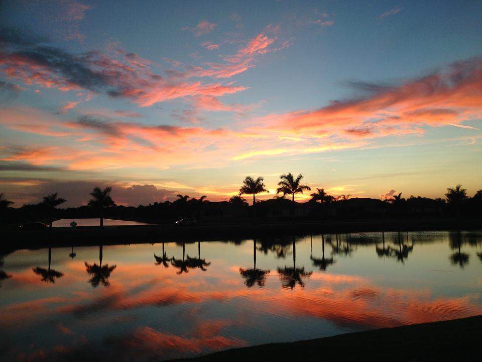 A serene lake reflects the vivid colors of a sunset sky with scattered clouds and silhouetted palm trees along the shoreline.