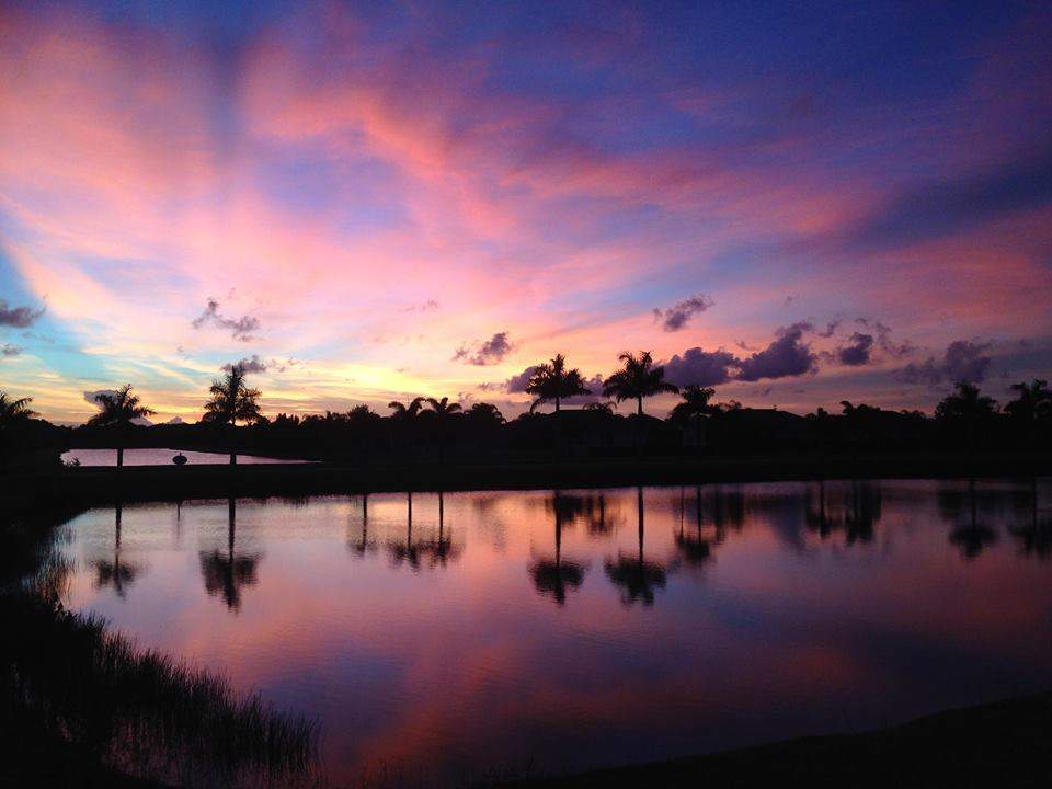 A serene lake reflects the vibrant colors of a sunset, with silhouetted palm trees lining the distant shore and a sky filled with pink, purple, and blue hues.