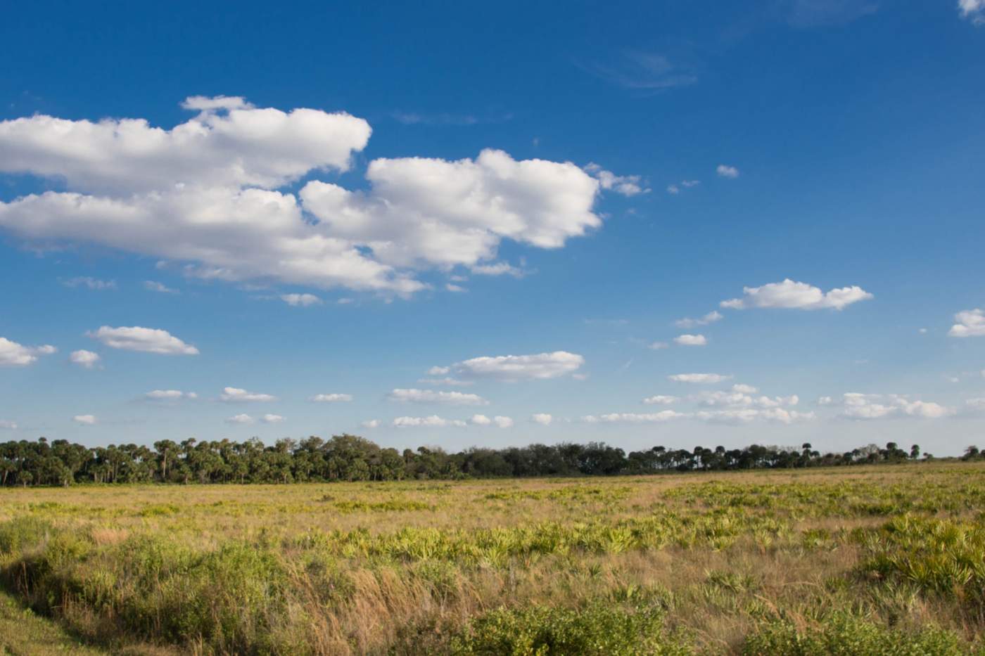 Kissimmee-Prairie-Preserve-3