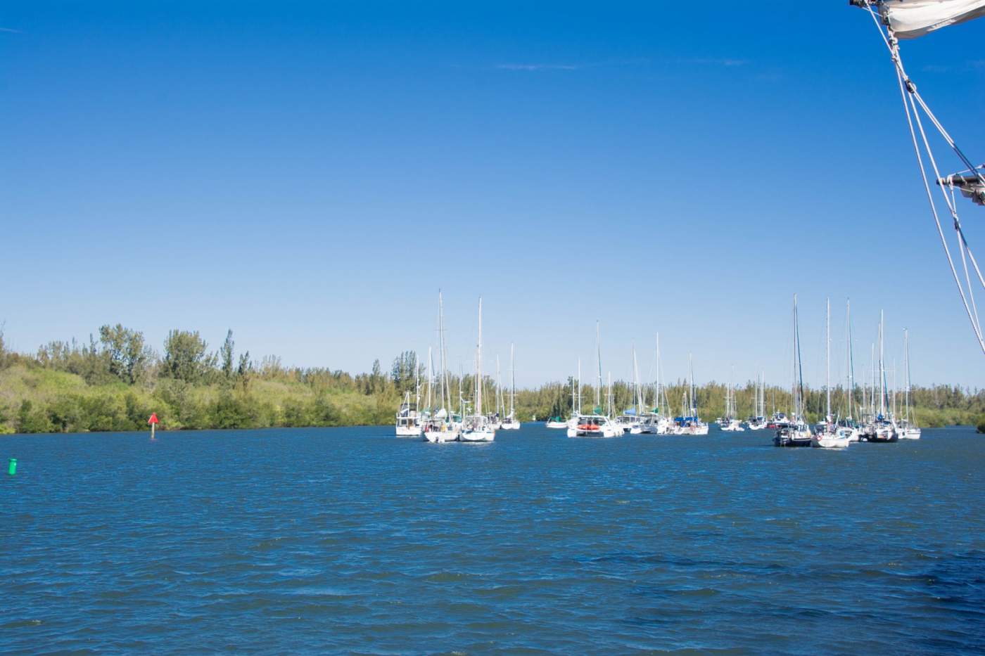 A fleet of sailboats anchored on a calm blue lake, surrounded by a dense line of trees under a clear sky.