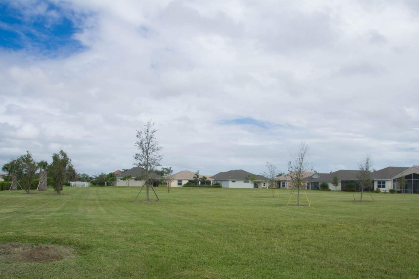 A spacious grassy field with scattered young trees, bordered by several suburban houses under a partly cloudy sky.