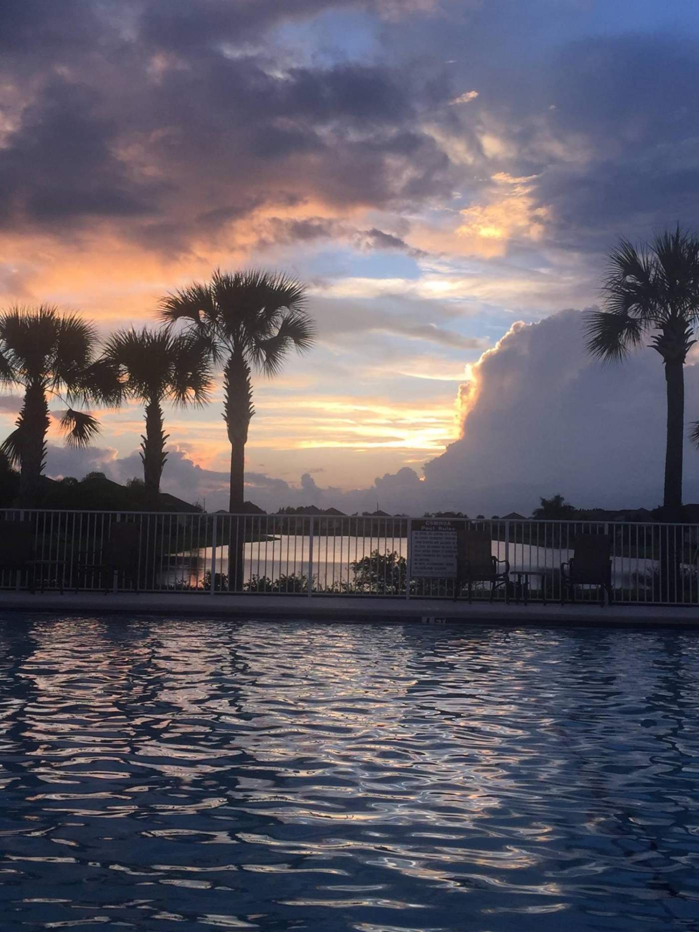 A sunset over a calm Citrus Springs pool with silhouetted palm trees and a pool in the foreground, all under a sky filled with clouds.