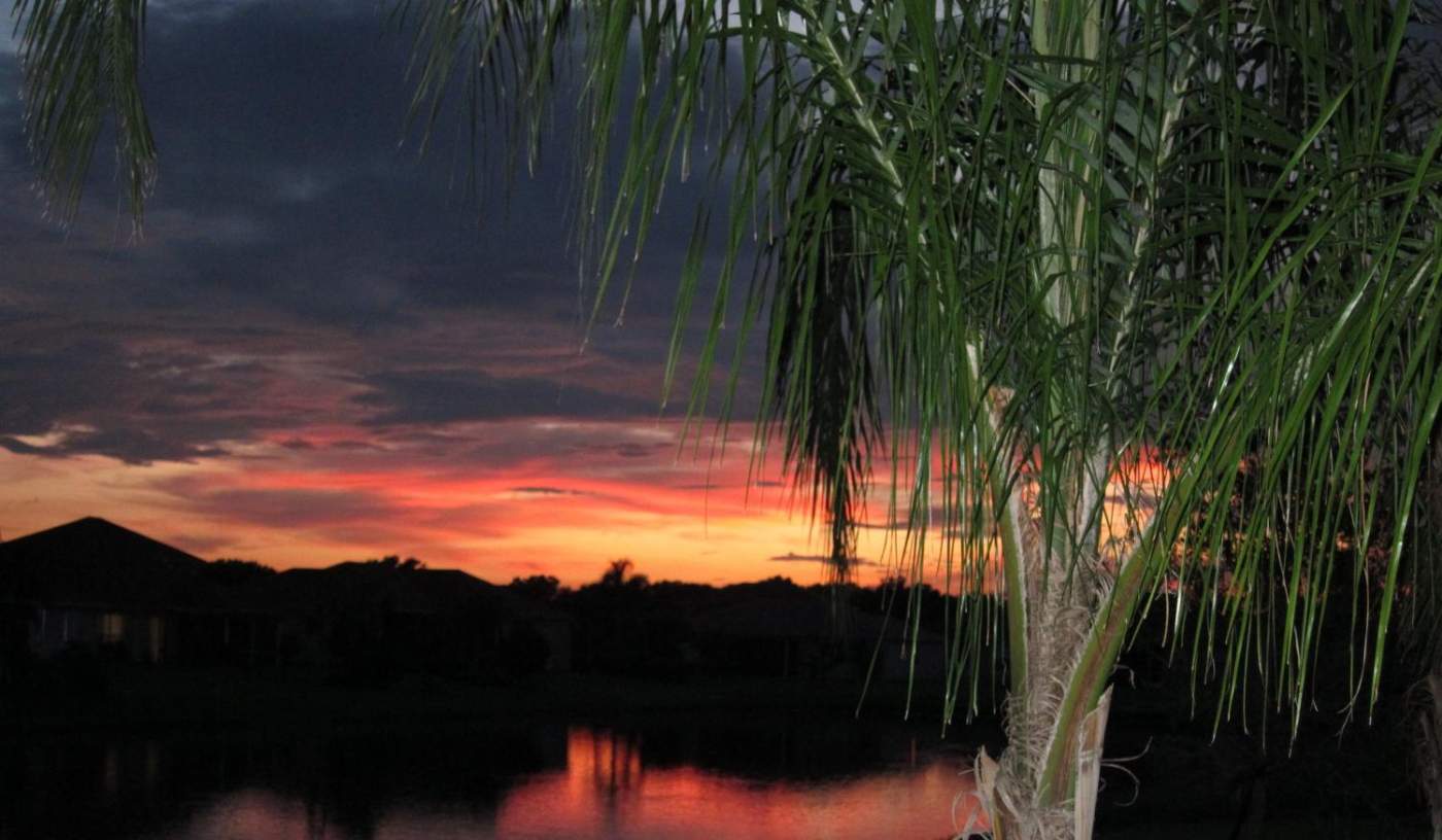 A serene sunset with a palm tree in the foreground and silhouetted houses by a lake in the background. The sky is a blend of orange, pink, and purple hues.A serene sunset with a palm tree in the foreground and silhouetted houses by a lake in the background. The sky is a blend of orange, pink, and purple hues.